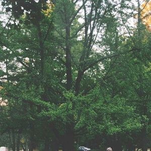 Meet your Posher, Violeta